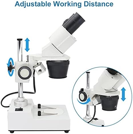 Microscópio estéreo binocular de Wenlii Microscópio Industrial Microscópio Top LED Iluminação LED Ferramenta de reparo de soldagem de PCB de PCB