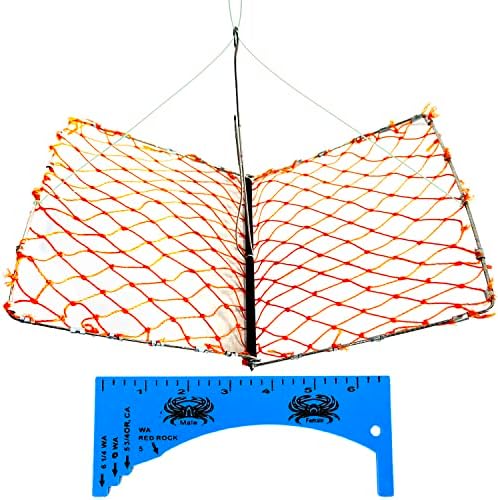 CLISPEED Metal Fish Guard Metal Fishing Mesh Metal Fishing Net Fish Net  Casting Net Throw Net Fishing Guard Net Small Metal Bucket Folding Fishing  Net