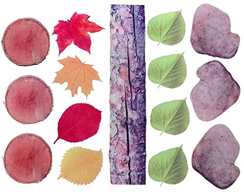 O sapo sardento - FF825 Passos da natureza - Conjunto de 15 tapetes de borracha inspirados na natureza - idades de 3+ - Floractos
