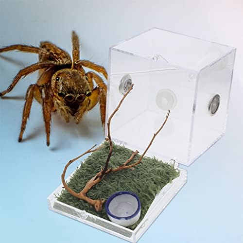IPETBOOM 2 Conjuntos de aranha Caixa de habitat de répteis Caixa de criação de repários CAGA ACRILICA CAGA ACRILA CAGA DE CASA