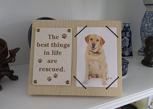 UNIDECO Wood Photo Frame 4x6 - Beautiful Resgue Dog Lover Gifts Wall & Tabetrop 4 x6 Frames de imagem - Segure sua foto favorita