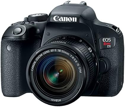 Canon EOS Rebel T7i US 24.2 Câmera SLR digital com LCD de 3 polegadas, preto