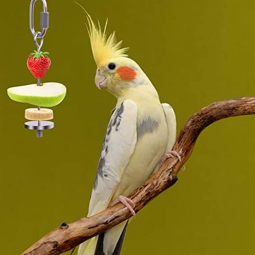 Porta de comida de pássaro Qleev, alimentadores de pássaros, suporte de gole de legumes de aço inoxidável de aço inoxidável, brinquedo