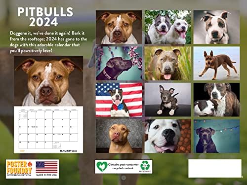 Calendário Pitbull 2024 Calender da parede Pitbull Presentes para homens homens e amantes de cães