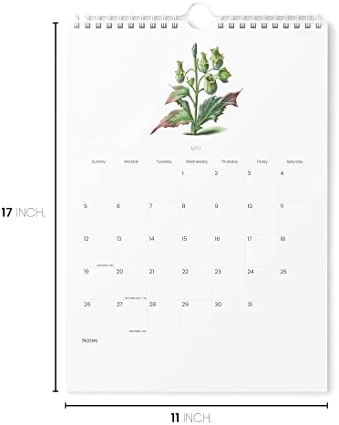 Calendário 2023 - VERTICAL 11X17 2023 O calendário da parede vai até junho de 2024 - Planejamento fácil com o calendário de 2023 - calendário da parede estética 2023-2024 mensal - Karto - pequenas plantas