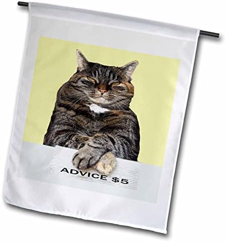 3drose Sandy Mertens Cat Designs - Conselhos engraçados de gato de gato no alto meme rabugento - bandeiras