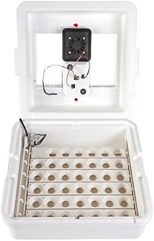 Pequena incubadora de ovos de ar incubadora de ar gigante com ventilador e controle de temperatura e umidade