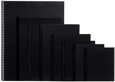 Profolio de Itoya, Art Profolio Polyglass, 10-Pack Multi-Ring Reabilt Pages-Retrato, 11 x 14 polegadas