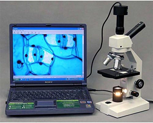 Microscópio monocular composto de visão dupla D120 AMSCOPE, ampliação 40x-1000X, campo brilhante, 1,25 NA Abbe condensador, estágio