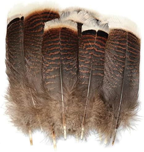 Luorng Natural Turkey Feather 20pcs 15-20cm/5.9-7.87 polegadas preciosas penas de cauda de peru para entretela de fantasia DIY