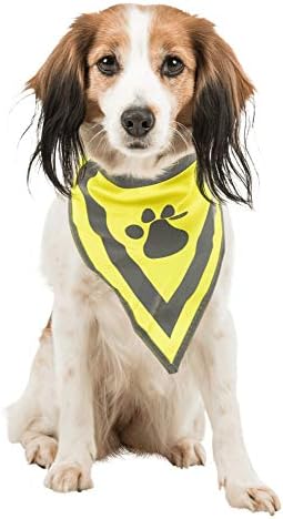 Trixie mais seguro Life Neckerchief for Dog, 28 cm
