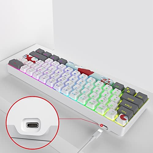 Teclado mecânico de OwpkeEnthy RGB 60 % com interruptores vermelhos, keybaord de mini-com fio de cabos com corda de retroilumos