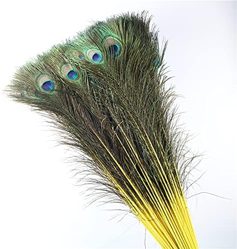 Pumcraft Feather for Craft 70cm-80cm/28-32 polegadas Fedas de pavão natural para artesanato Acessórios de casamento