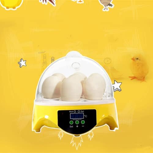 Incubadora de ovos digitais, observação de todas as direções, criador de máquina de incubatórios de aves totalmente automáticas, com