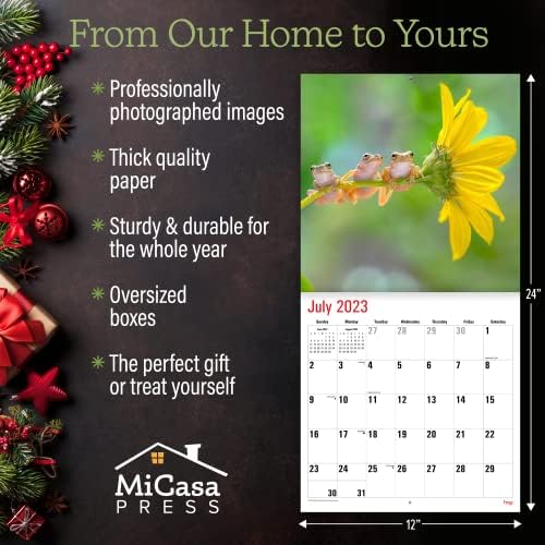 MICASA FROGS 2023 HONGABLE Monthly Wall Calendário | 12 x 24 aberto | Papel grosso e resistente | Presente | Sapos fastesticos