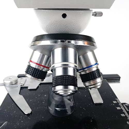 IRANJ Microscópio Binocular Microscópio Biológico Microscópio 2500x