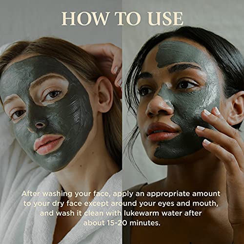 Máscara de argila de lama de recuperação BRMUD Limpeza facial, redutor e minimizador de poros com lama Boryeong 110ml - Melhor