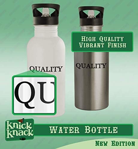 Presentes de Knick Knack oblonga - 20 onças de aço inoxidável garrafa de água, prata