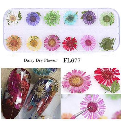 Cores de flores em gel de arte real acrílica seca 12 decoração unha 3d seca para pontas Pressione as unhas
