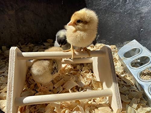 Backyard Barnyard Mini Chick Perch Bar forte bar de polvilhas feitas nos EUA !!! Jungle Gym Chicken Toys for Coop e Brooder for Baby Chicks El Pollitos La Pollita Pollos Gallinas Poluelos