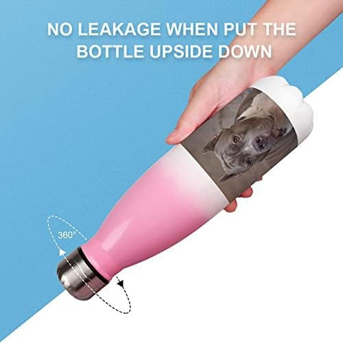 Pitbull Dog 17oz Sport Water Bottle Bottle Stainless Aço a vácuo em forma de cola isolada balão esportivo reutilizável
