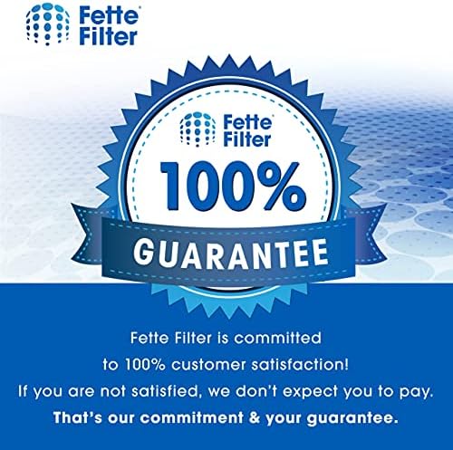 Filtro Fette-4 filtros HEPA verdadeiros premium compatíveis com filtro de purificador de ar F2 F2 para modelos #FAP-C02WA-G2, FAP-C03BA-G2, FAP-T03BA-G2, FAP-C02-F2, FAP-T03-F2 13 x8.2 - pacote de 4