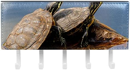 Tartarugas répteis Organizador de rack de animais blindados com 5 ganchos Banheiro de parede Banheiro de cozinha rack de prateleira multifuncional prateleira