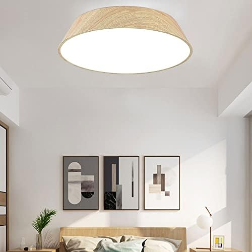 Luzes de teto Omoons, luz moderna de teto de arte de ferro simples, lâmpada de teto de escurecimento de três cores, tom de lâmpada de acrílico, luminária de teto de montagem na superfície LED para luminária de luminária para varanda de quarto/40cm