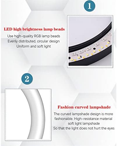 Lukeo 10 polegadas RGB Ring Light com LED remoto anel fotográfico Light Light Selfie Tripé com Stand