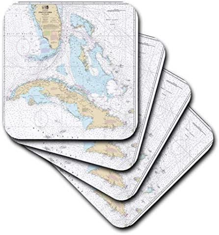 Impressão 3drose de Cuba e reta de gráfico da Flórida - montanhas -russas suaves, conjunto de 4