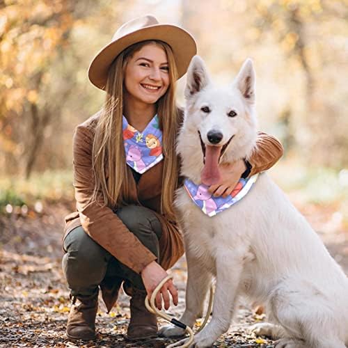 Underwater World World Beautiful Wellyfish Coral Recife 2 Pack Bandanas ajustáveis ​​Ajuste Acessórios Decoração para cães