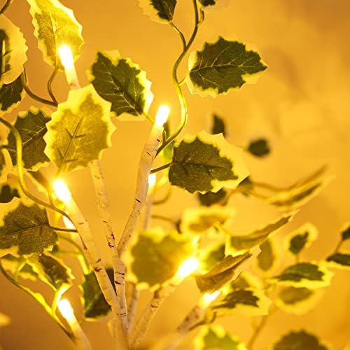 3 pacote de bétula iluminada, 2ft 24 Decorações de Natal LED Indoor, 2022 Atualize o modelo de dinheiro da árvore com bateria