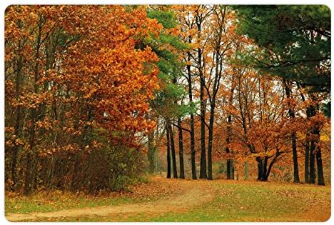 Ambsosonne Fall Pet Tapete Para comida e água, dia nublado no dia da calçada dos arbustos de setembro, na floresta do parque, retângulo