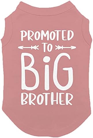 Promovido a Big Brother - camisa de cachorro