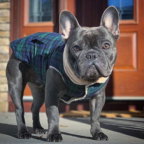 PET PARISIANO - Casaco de colete xadrez verde escocês/suéter de lã - blusas de cachorro perfeito para o Natal - tamanho L