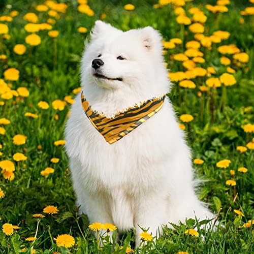 Bandanas quadradas para cães lenço de estimação dobrável Tigre padrão de tigre fundo gato diário babiros lenços de cachorro básicos para meninas e meninos, 2 pacotes de lenço de triângulo