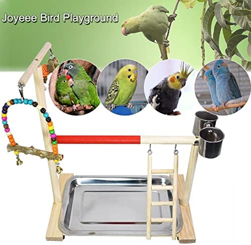 Joyeee Parrot Bird Playground, Wooden Pet Birds Stand Plataforma Polhe a prateleira Play Gym com balanço de escada, Centro de