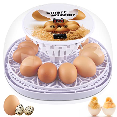 Incubadora de ovo Sunhoo, 12 ovos incubadora com ovo automático, reabastecimento automático de água, controle de temperatura automática,