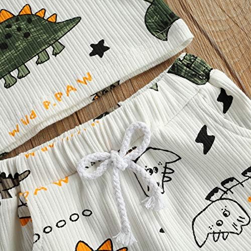 Ledy Champswiin Toddler Boy Roupas de bebê roupas de verão de dinossauros impressão de algodão+shorts elásticos cinza 2pcs