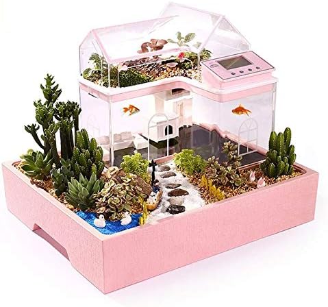 Tanque de peixes criativos TWDYC Pequeno aquário de aquário ecológico decoração infantil criança DIY Suculentas Princesa Prince House Garden Fairy Dream