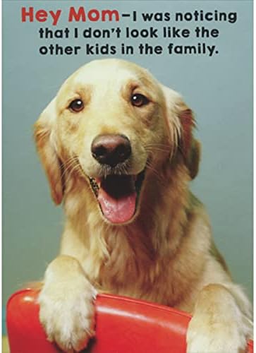 Vendedores publicando RSVP Golden Retriever não se parece com as outras crianças humorísticas/engraçadas do dia das mães do cachorro