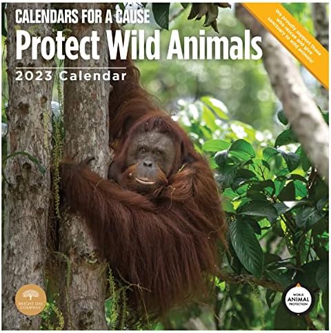 2023 Proteja os animais selvagens calendário de parede mensal por dia brilhante, 12 x 12 polegadas, resgate calendários