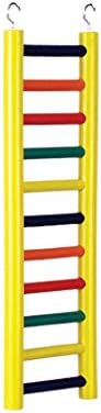 Produtos PET prevuos BPV01138 Criações de carpinteiro escada de pássaro de madeira com 11 degraus, 18 polegadas, as cores variam
