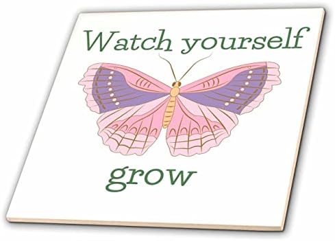 Imagem 3drose de uma bela borboleta com texto de observar você mesmo crescer - azulejos