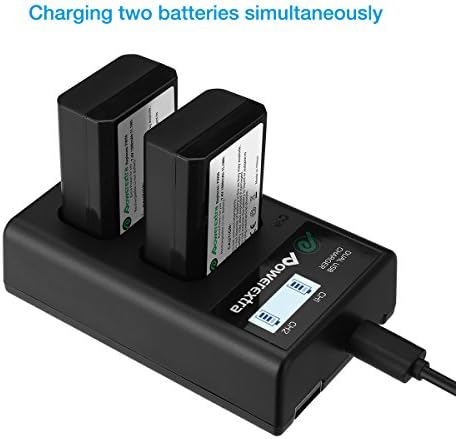 Substituição do PowerExtra 2 Substituição da Sony NP-FW50 E SMART LCD Display LCD Dual Charger Compatível para Sony ZV-E10, Alpha A6500, A6300, A6000, A7S, A7, A7S II, A7S, A5100, A5000, A7r, A7 II, II, Câmera A7,