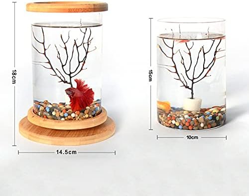 Xjjzs 360 graus de vidro giratório betta tanque de peixes base mini tanque de peixes decoração girar acessórios de aquário de tigela