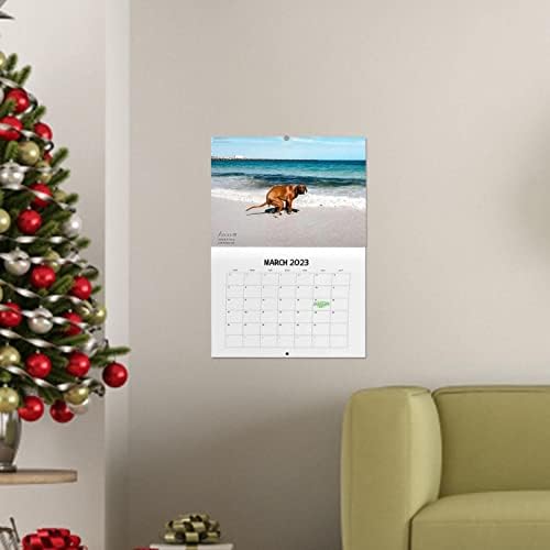 Calendário de parede de cocô de cachorro, cão engraçado 2023 com belo calendário de parede de lugar, calendário engraçado de cocô de cachorro, 2023 cão engraçado calendário de ano novo, goma de férias de natal da parede de cães engraçados, 8,27 x5.83in