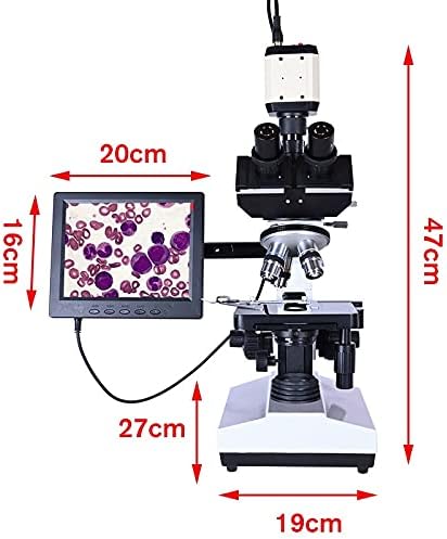 WENLII LAB PROFISSIONAL TRINOCULAR BIOLÓGICO Microscópio Zoom 2500x + Câmera CCD digital eletrônica USB + LCD de
