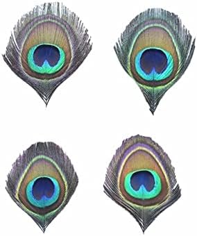 10pcs/lote natural raro penas de pavão penas de olho para artesanato decoração de penas de penas de penas de decoração de