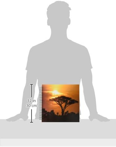 3drose db_173294_2 Árvore de guarda-chuva de acacia Thorn em planícies africanas no Sunset Tropical Night SceneMory Book, 12 por 12 polegadas